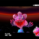 Illustration for article titled Is This Game Ripping Off Mario Galaxy?